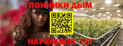 шишки Абакан