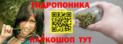 шишки Абакан