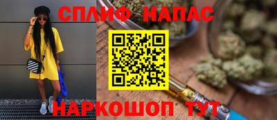 шишки Абакан