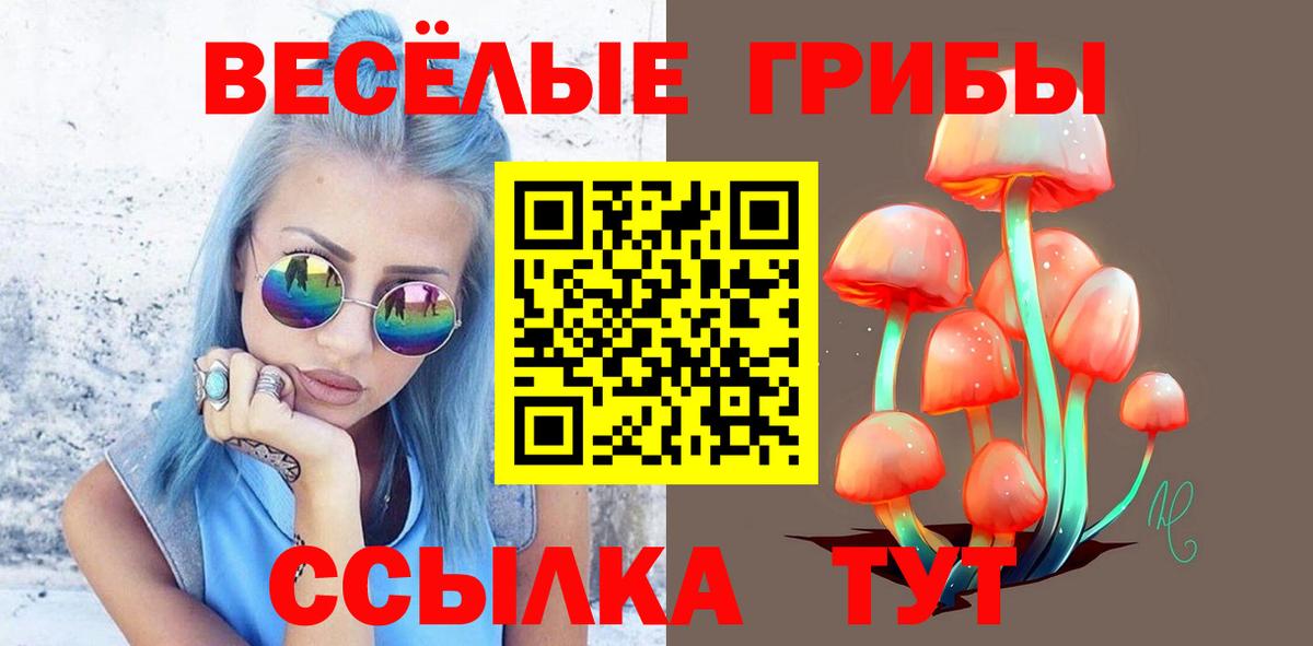 Абинск  Галлюциногенные грибы мицелий  Вход с VPN  Галлюциногенные грибы Psilocybe 